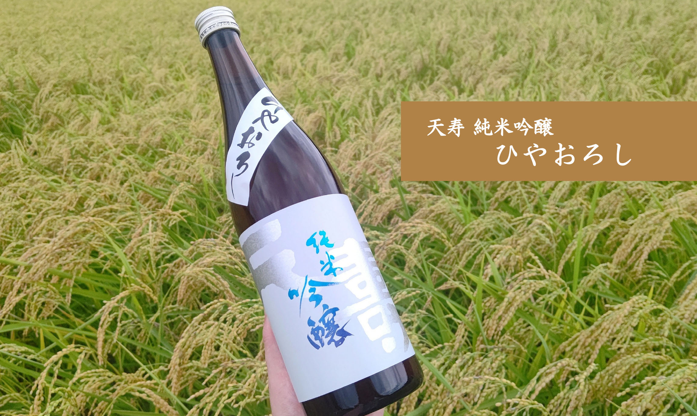 秋田の地酒通販｜天寿酒造オンラインショップ｜この酒で百歳まで「美酒